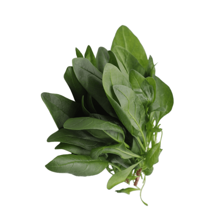 Spinach